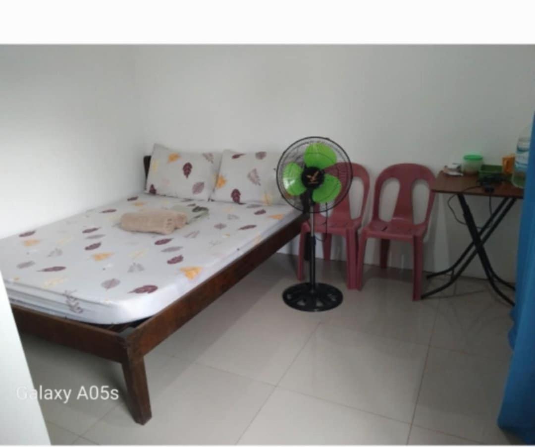 Francis Home Stay Port Barton Bonifacio Street San Vicente  Esterno foto